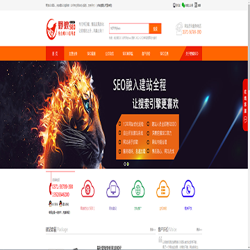 野狼SEO
