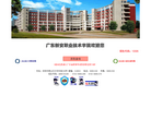 广东新安职业技术学院官网