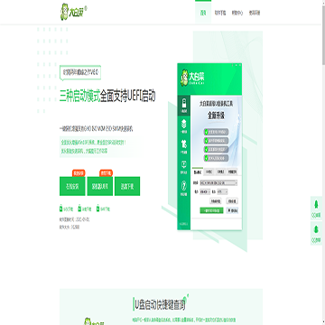 大白菜PE
