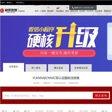 耐思尼克